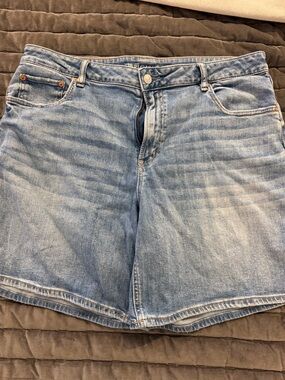 American Eagle Outfitters Light Blue Denim Shorts